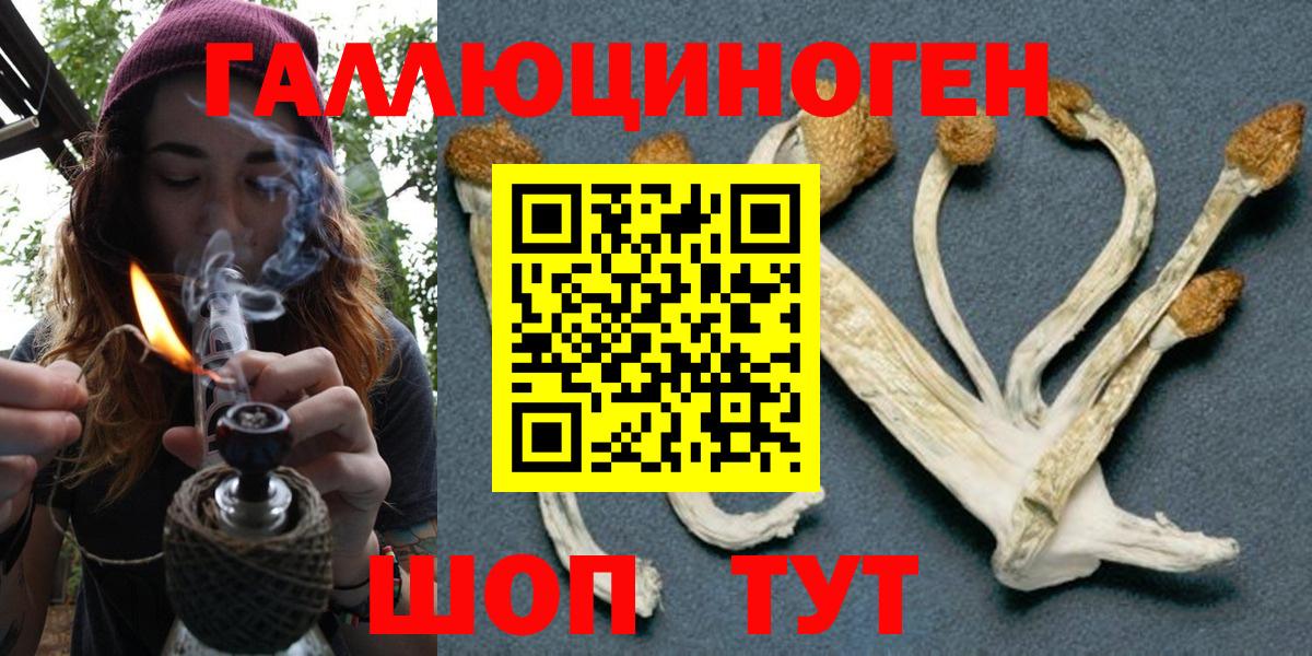 Красноярск  что такое наркотик  Вход с VPN  Псилоцибиновые грибы мухоморы  Псилоцибиновые грибы прущие грибы 